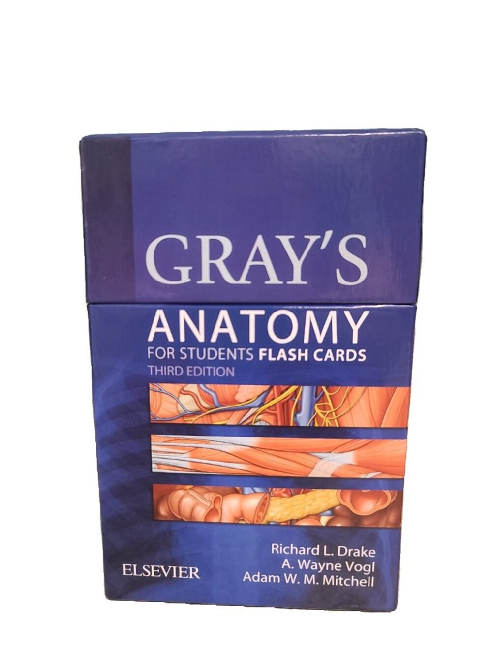 ELSEVIER Gray's Anatomy for Students Flash Cards (Third Edition) One Size
